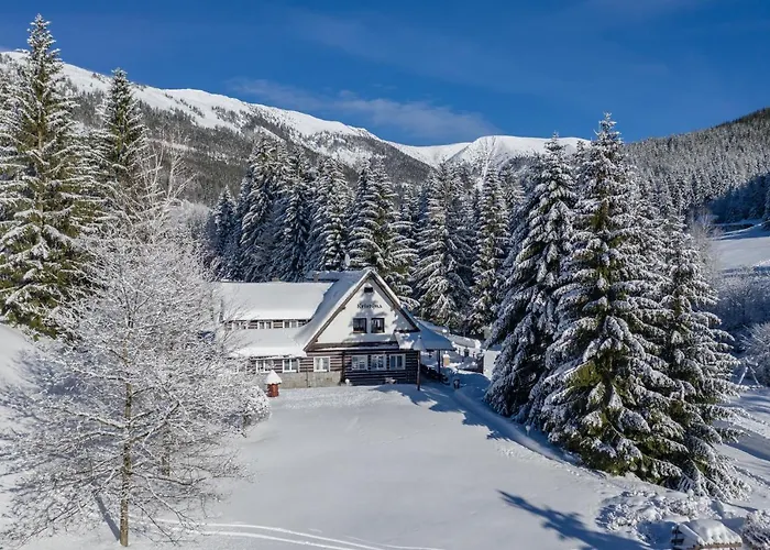 酒店 Martin & Kristyna 3*